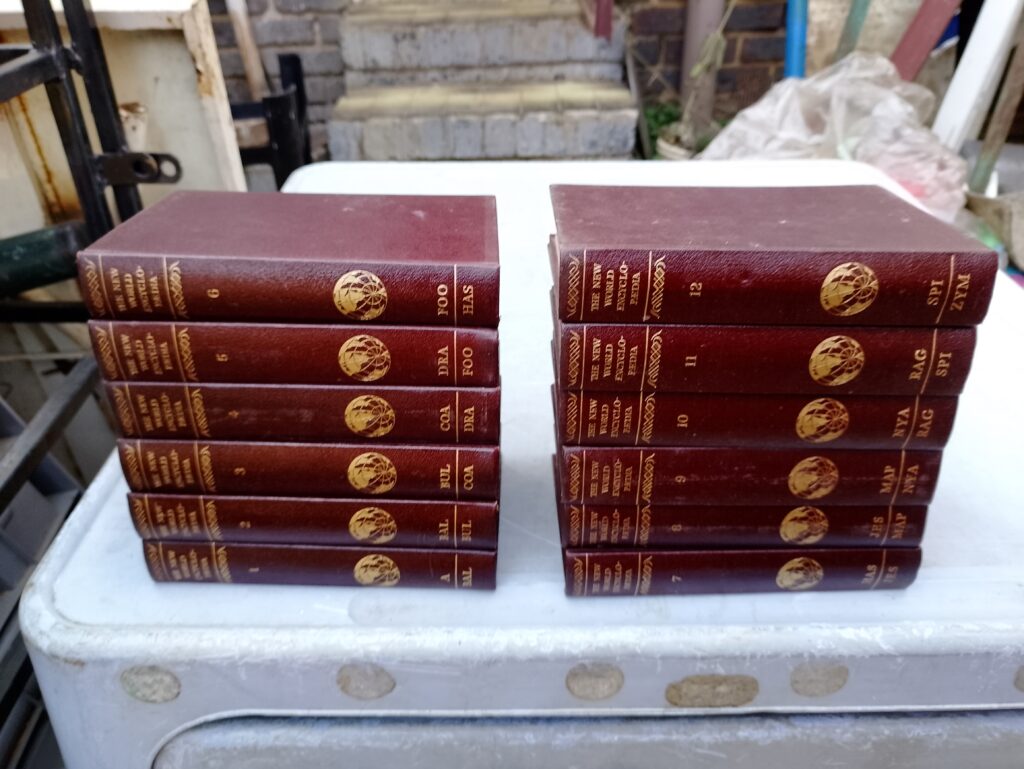 Set of 12 Maroon Hardcover Encyclopaedia Volumes – The New World (spines shown)
