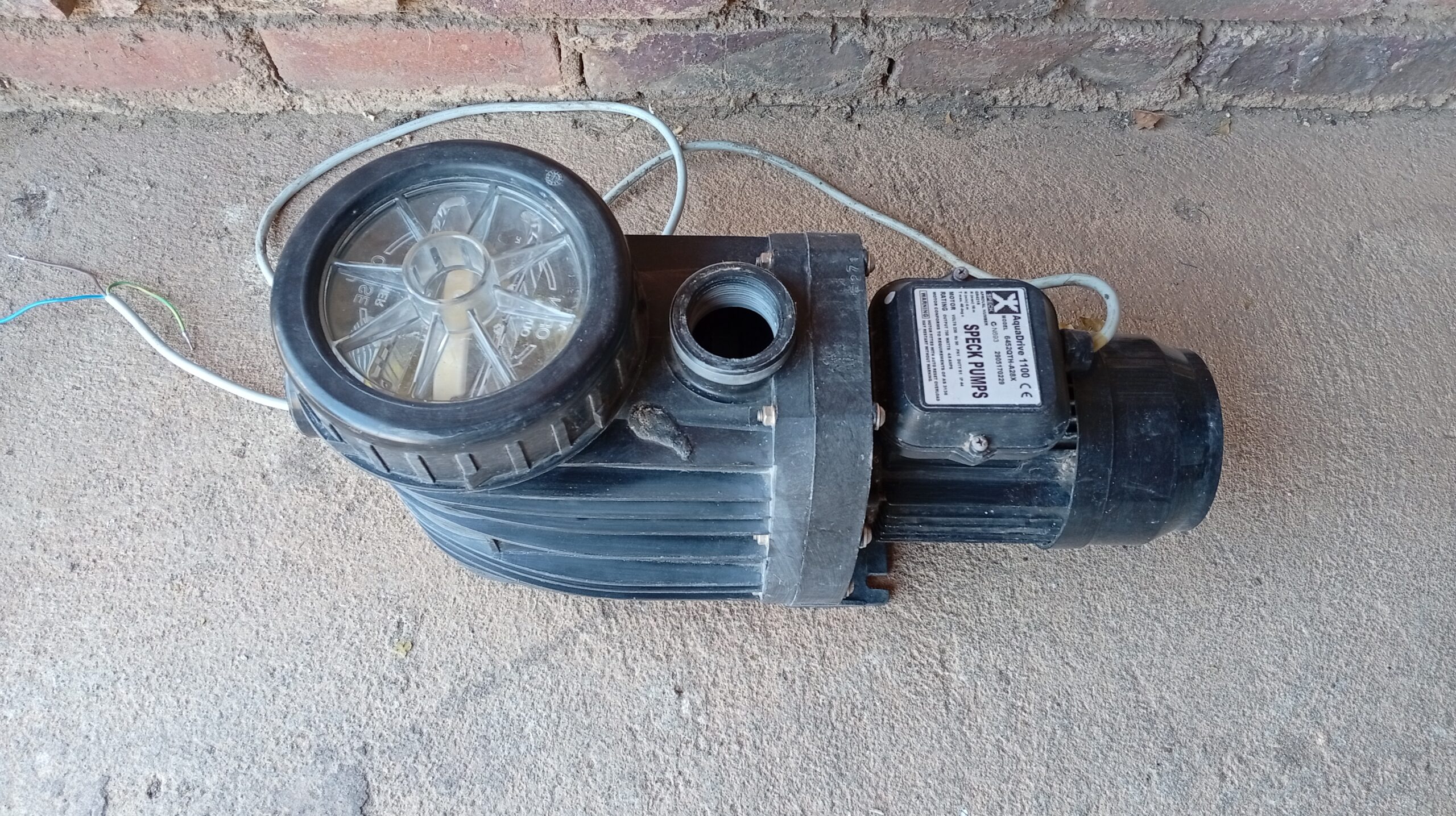 Speck AquaDrive 1100 Pool Pump — Single Unit, Model 6452QTH-A28X