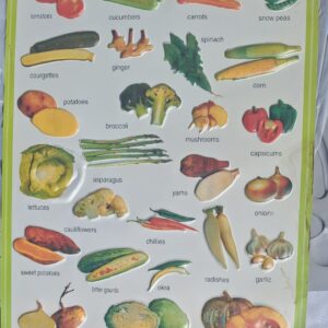 Lot of Educational Fruit & Vegetable Charts (Bulk Lot, 1 shown; seller claims 50+)