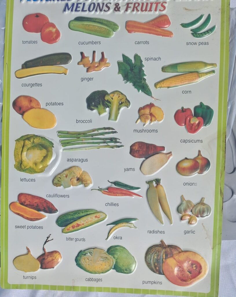 Lot of Educational Fruit & Vegetable Charts (Bulk Lot, 1 shown; seller claims 50+)