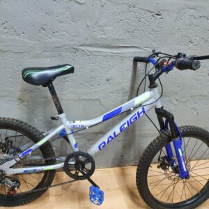 Raleigh 'Delta' Used Bicycle (Size 20) — Needs Service, Visible Rust & Wear