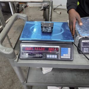 Electronic Price-Computing Bench Scale with Backlit Display and Keypad (1 unit)