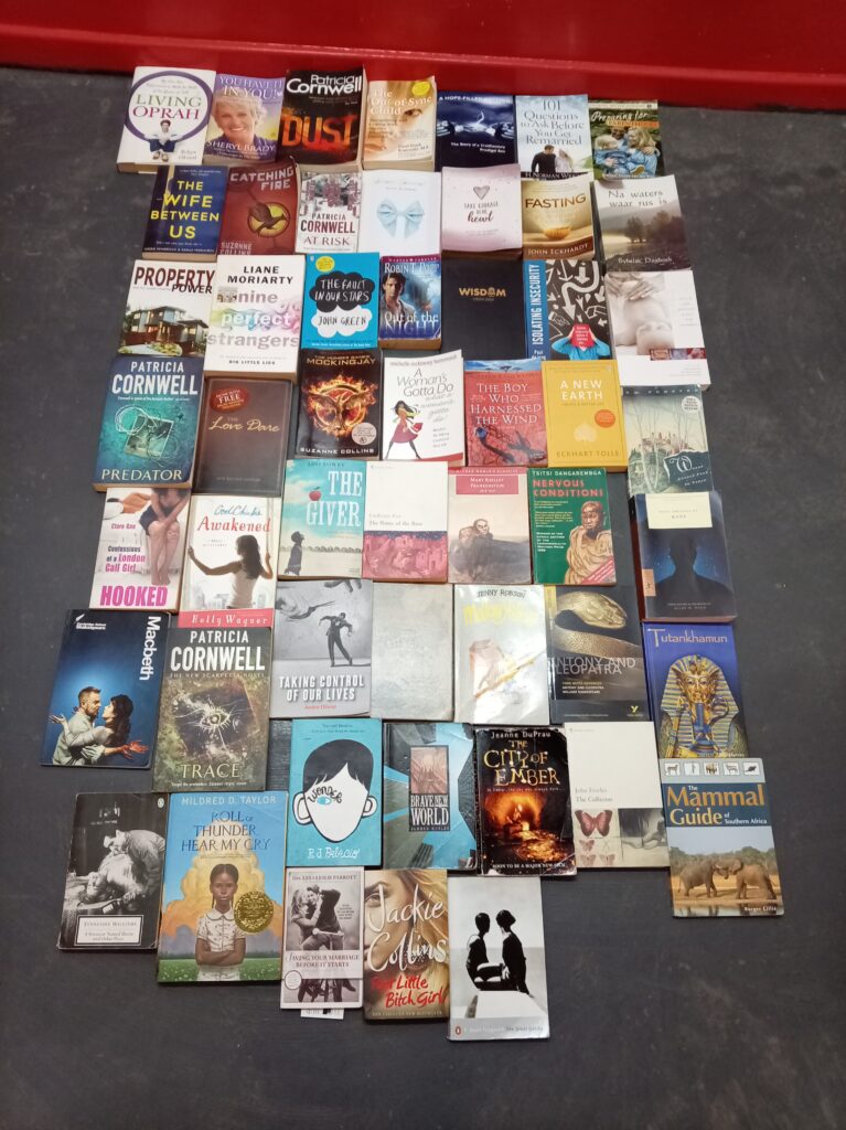 Large Joblot of Assorted Books & Novels — Approx. 56 Titles