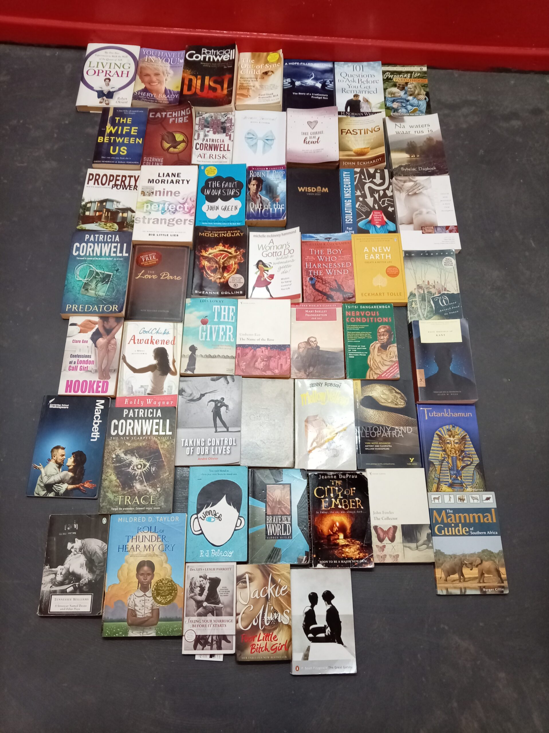 Large Joblot of Assorted Books & Novels — Approx. 56 Titles