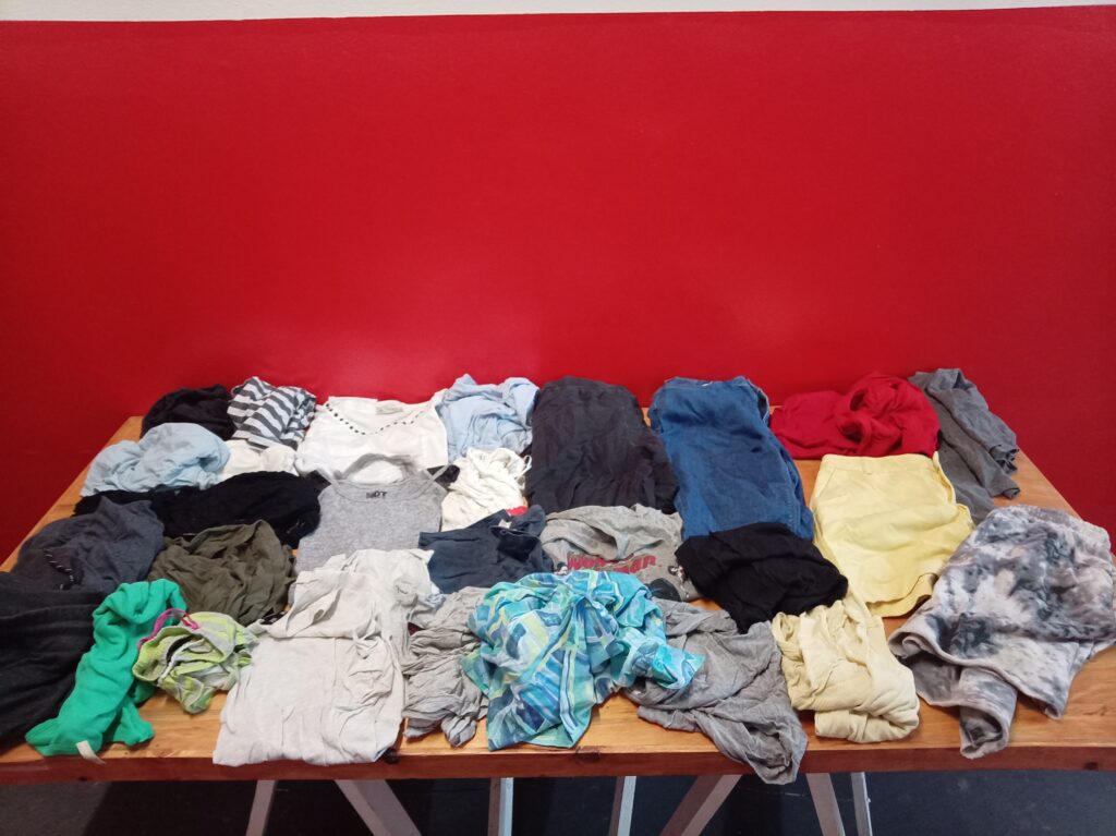 Mixed Lot — Approx. 25 Women’s Clothing Items (Used Assortment)