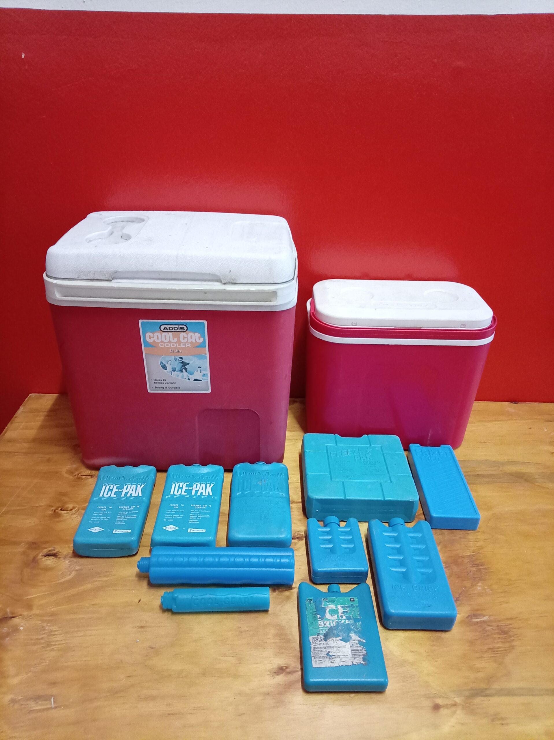 Bundle: 2 Pink Cooler Boxes (one 26L) with ~10 Ice Bricks