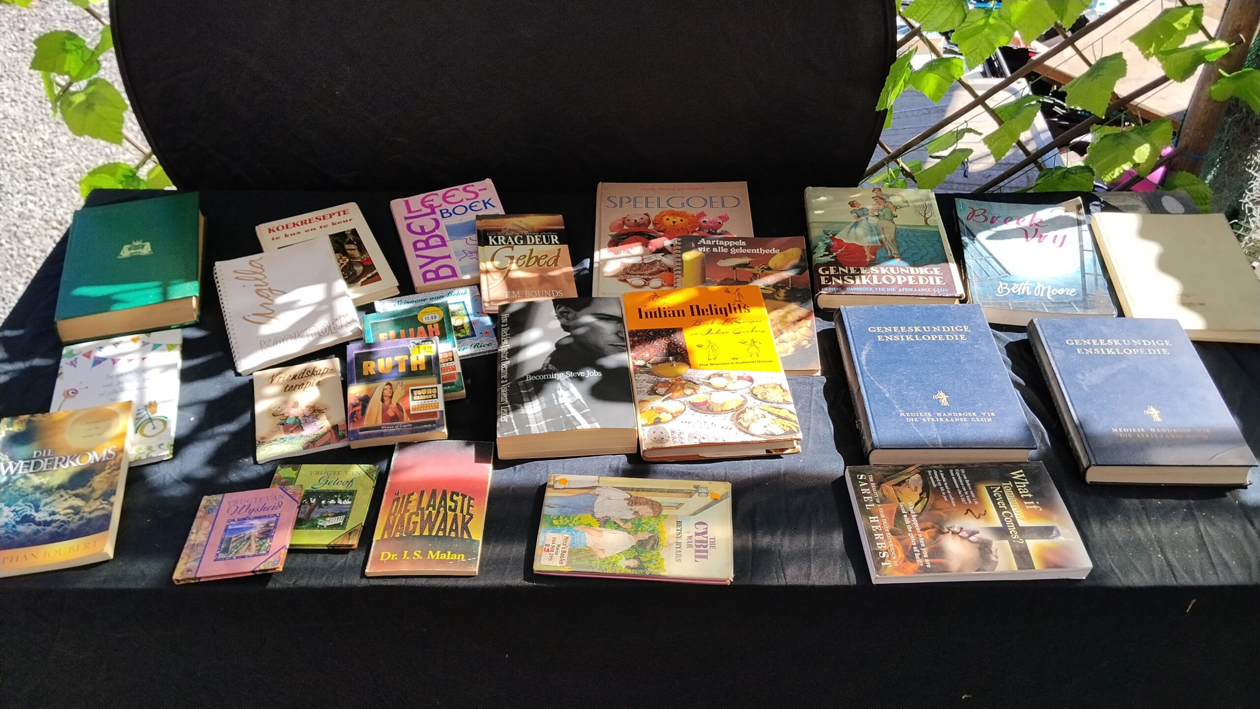 Lot of ~20–25 Afrikaans Christian books and cookbooks – mixed paperback & hardcover