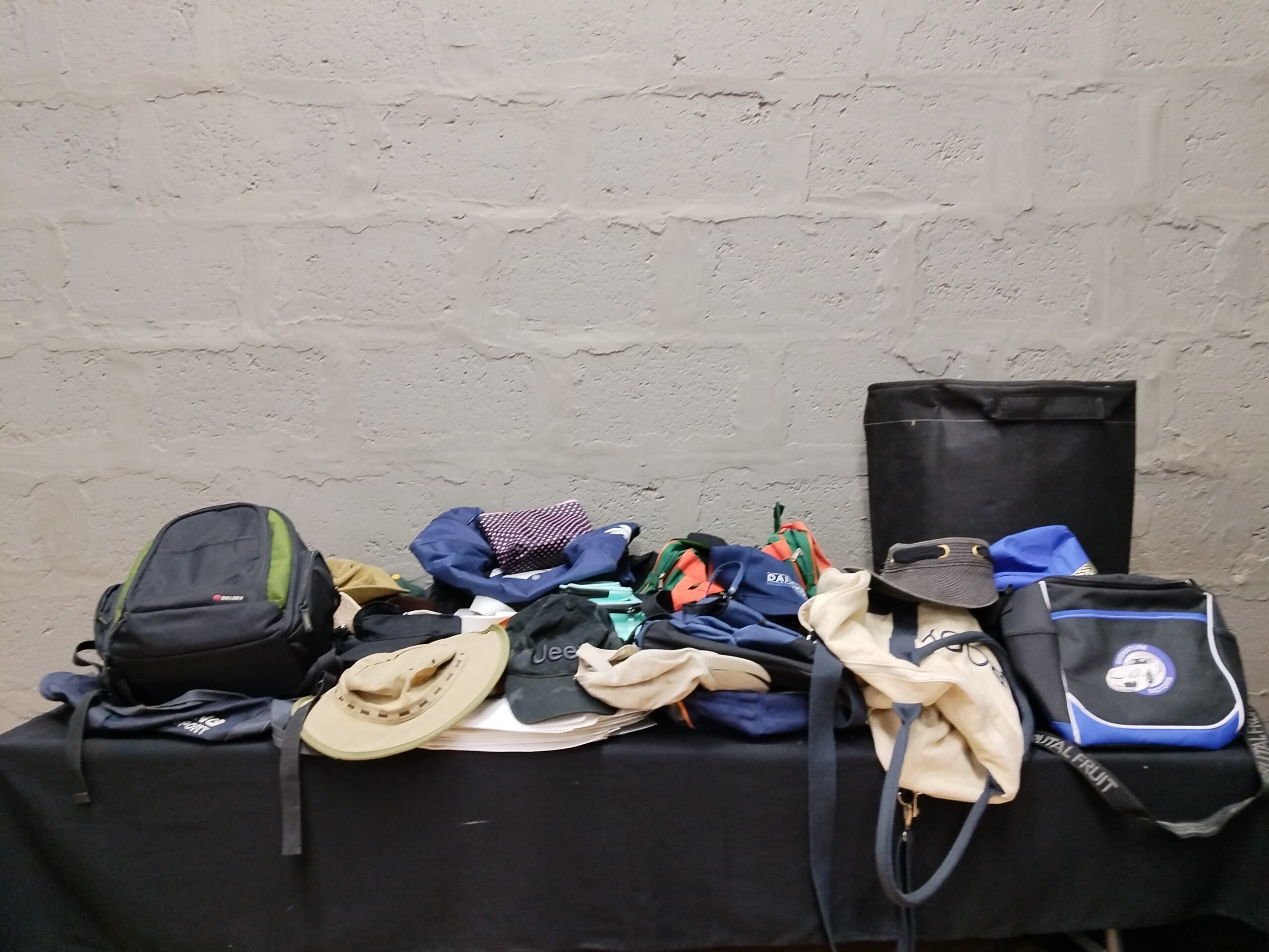 Mixed Lot of Fabric Bags, Backpacks and Hats (Approx. 15–18 Items)