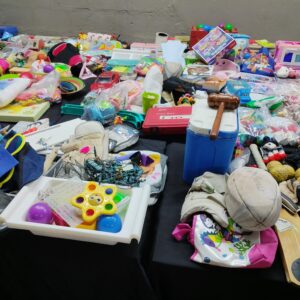 Mixed Lot of Children's Toys — Assorted Plush, Books, Puzzles & Small Toys