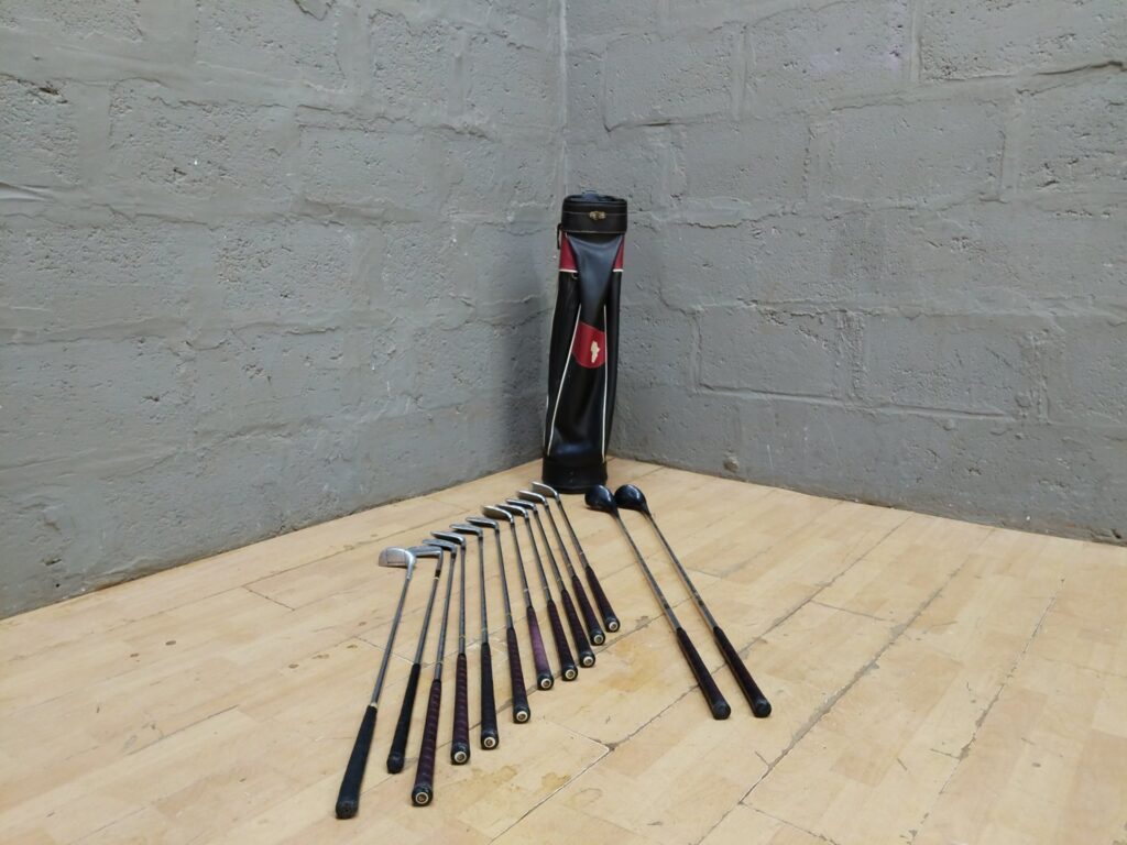 Mixed 17-piece Golf Club Set with TREG ER ‘Cadet’ Carry Bag — Wilson Irons, Wooden Woods (used, repair/parts)