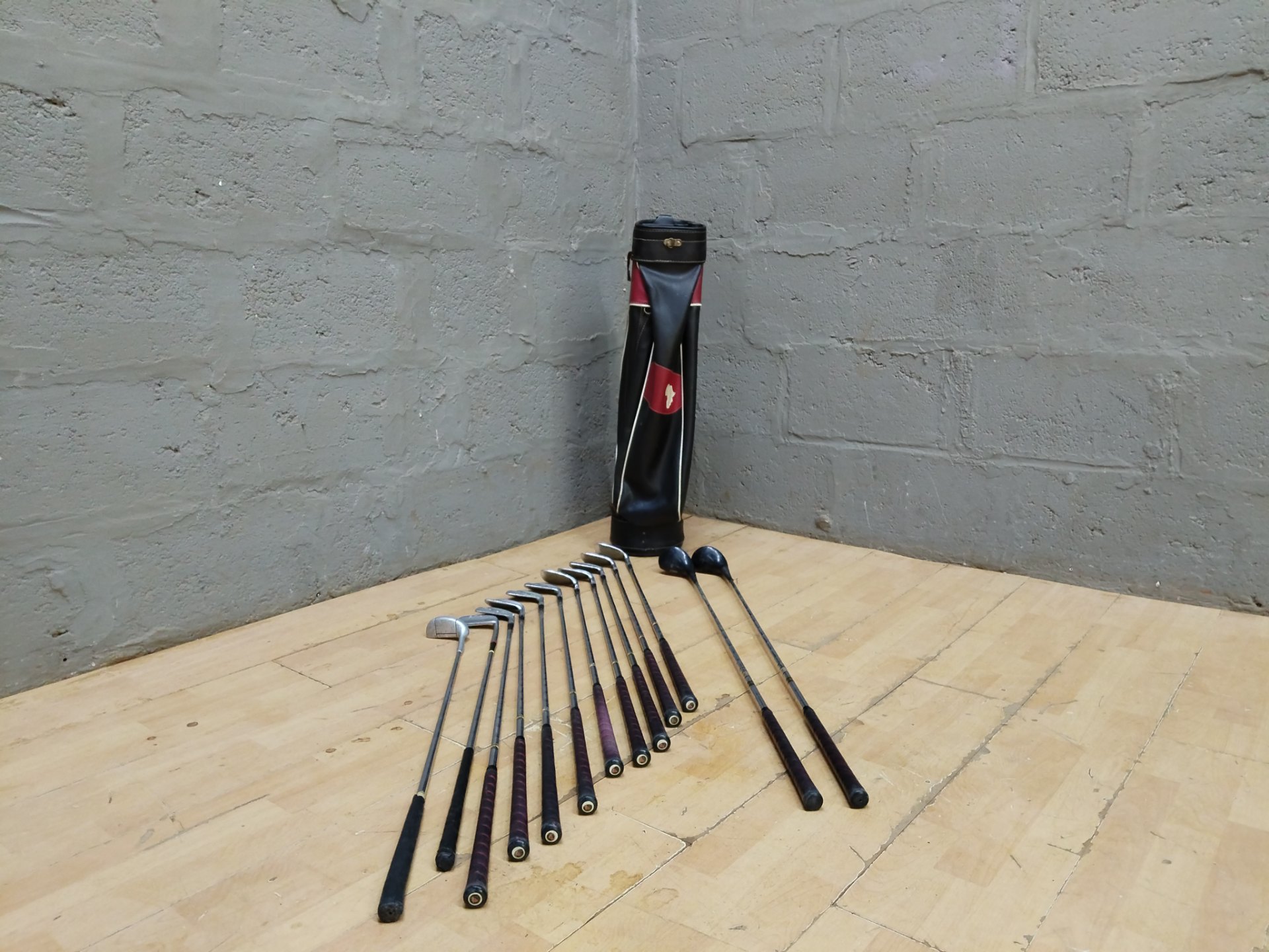 Mixed 17-piece Golf Club Set with TREG ER ‘Cadet’ Carry Bag — Wilson Irons, Wooden Woods (used, repair/parts)