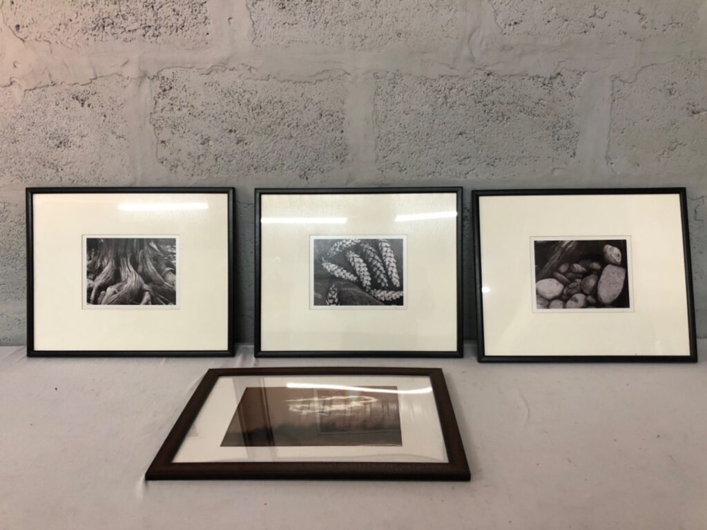 Set of 4 Framed Photographic Prints – Nature & Landscape Scenes (44 x 36 cm)