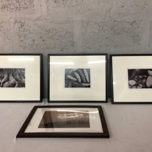 Set of 4 Framed Photographic Prints – Nature & Landscape Scenes (44 x 36 cm)