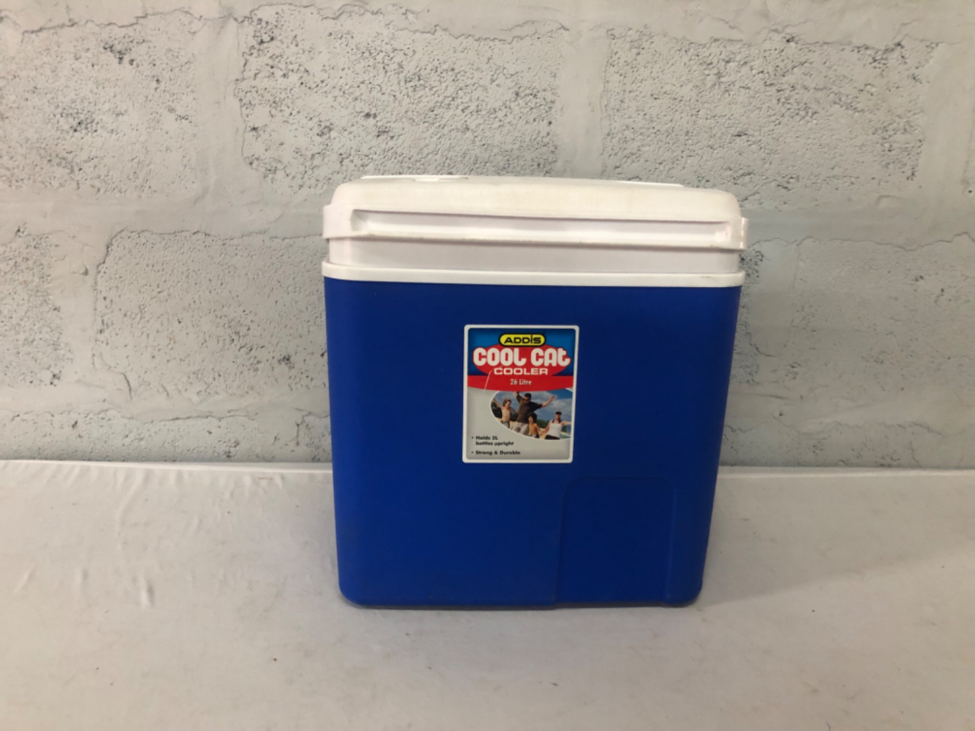 Addis Cool Cat 26 Litre Cooler Box – Good Used Condition