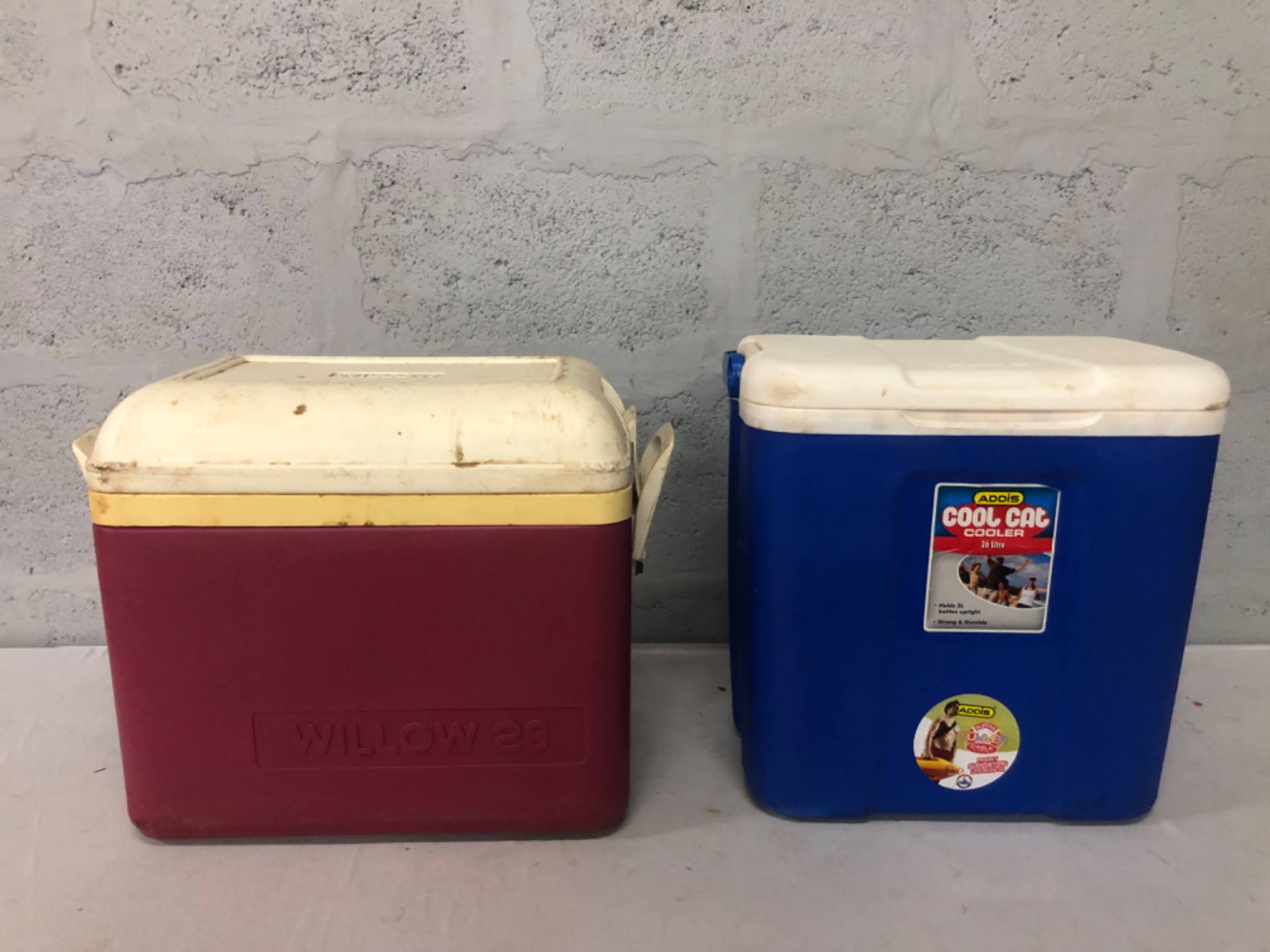 Pair of 28L Cool Boxes – Willow 28 & Addis Cool Cat – Used, Needs Cleaning
