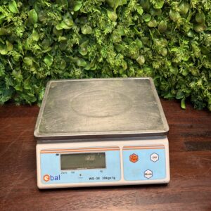 Ebal WS-30 Electronic Bench/Retail Scale (30kg x 1g) — Untested