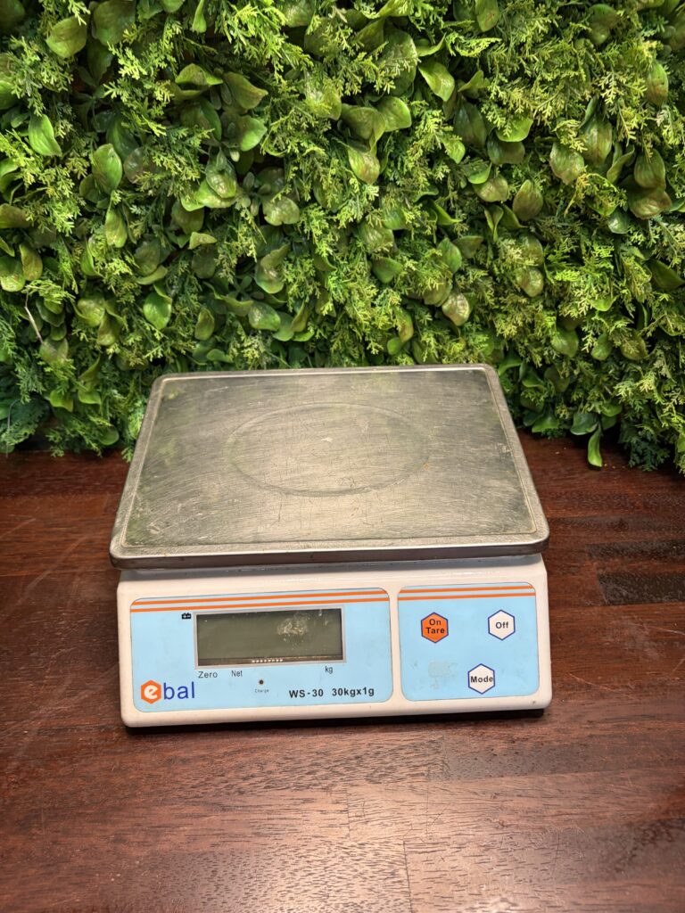 Ebal WS-30 Electronic Bench/Retail Scale (30kg x 1g) — Untested