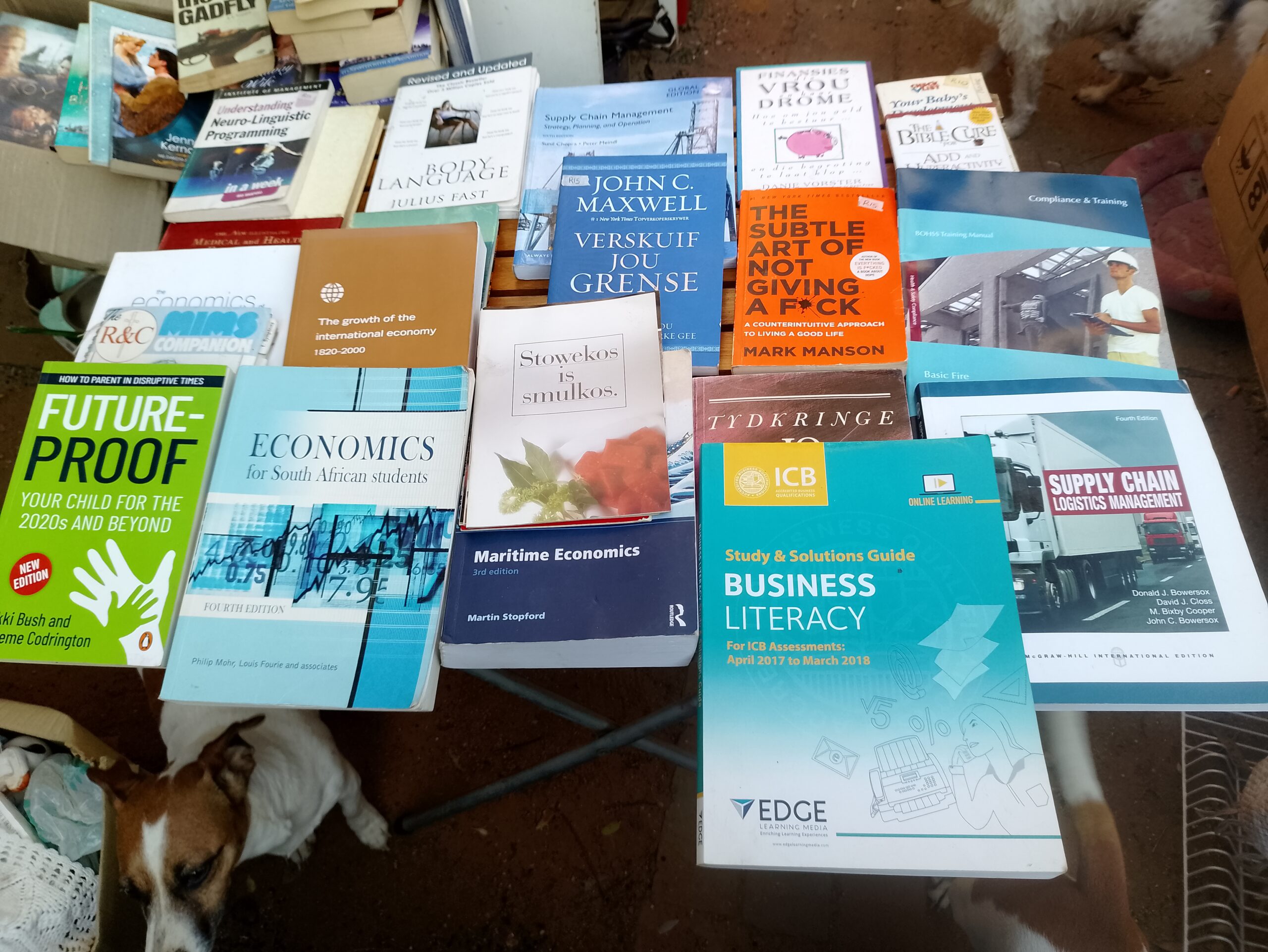 Bundle of Educational Books — Mixed Vintage & Modern Titles (Lot)