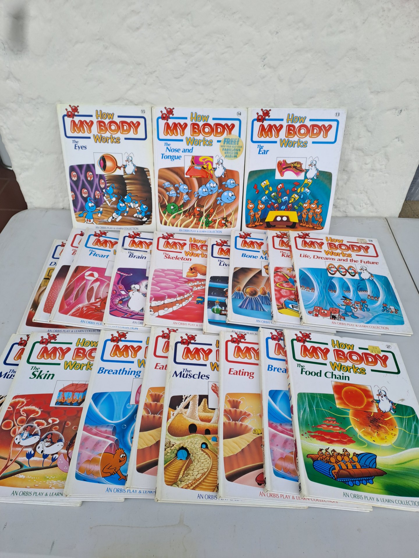 How My Body Works — Mixed lot of children’s paperback books (An Orbis Play & Learn Collection)