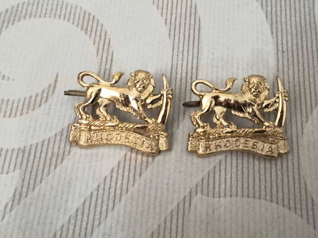 Pair of Rhodesian lion crest cap badges – gilt finish, two-post fastening (pair)