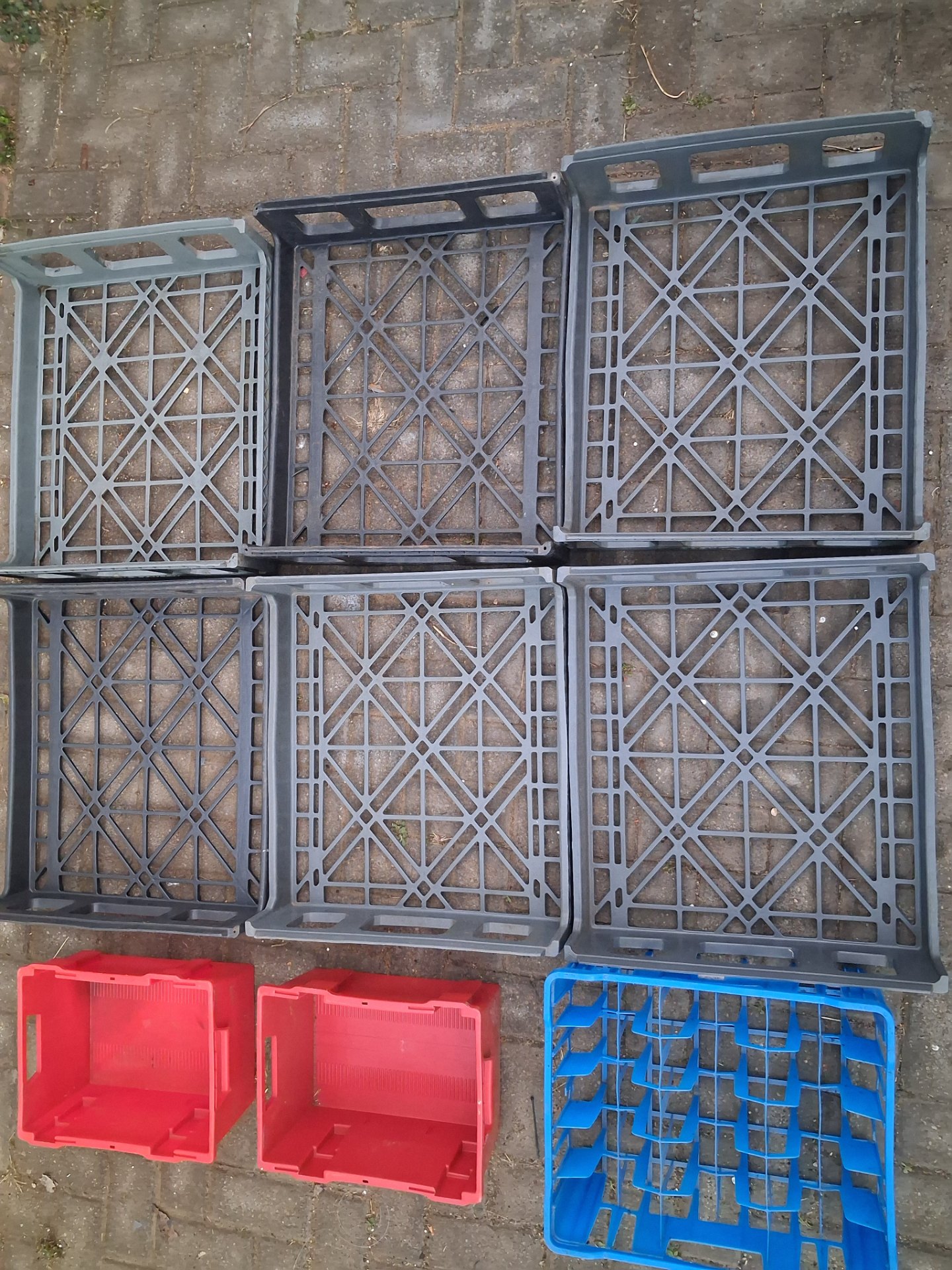 Lot of 9 Assorted Plastic Crates — 6 grey flat stacking trays, 2 red deep crates, 1 blue divider crate