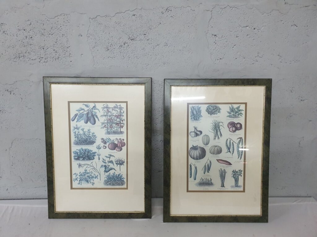 Pair of Framed Botanical Prints — glazed, gilt-trim frames, 45 x 61 cm each