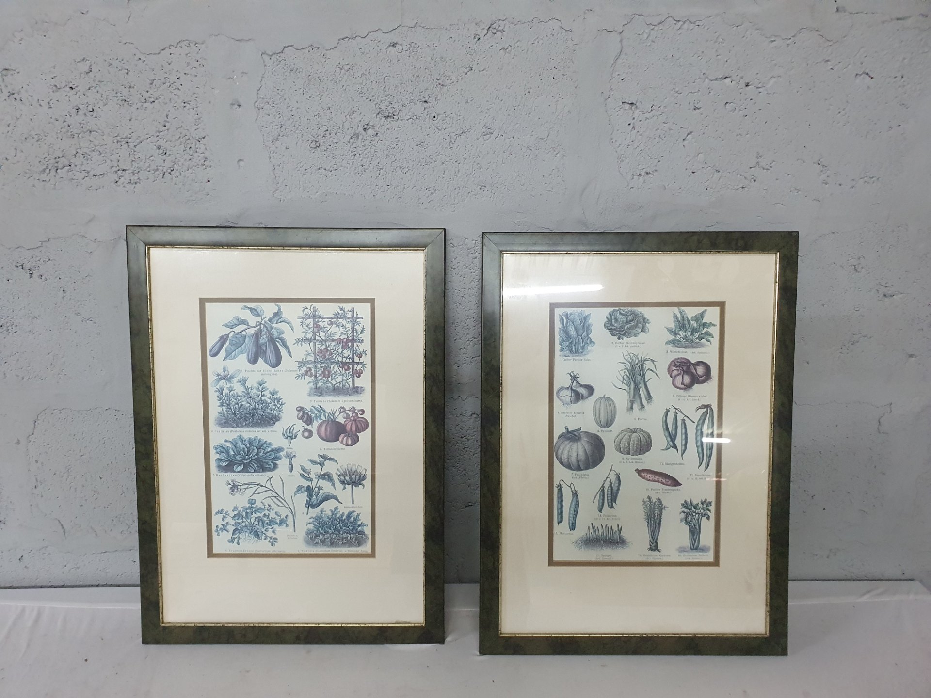 Pair of Framed Botanical Prints — glazed, gilt-trim frames, 45 x 61 cm each