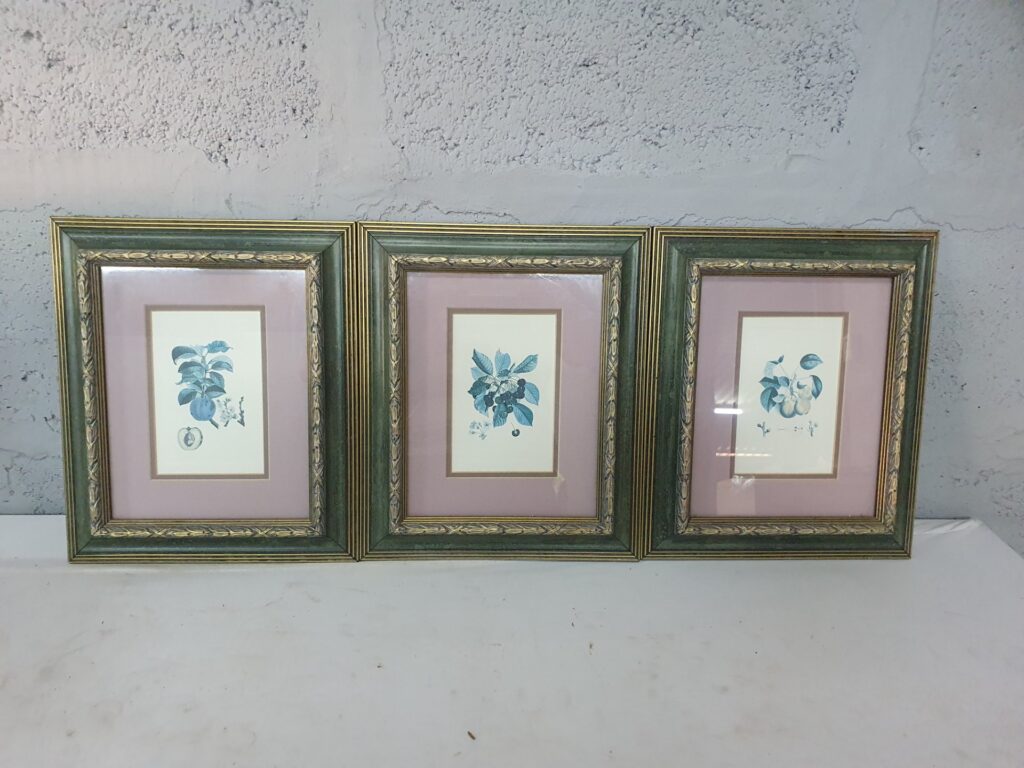 Set of three framed botanical prints — green gilt moulded frames with pink double mats, glazed