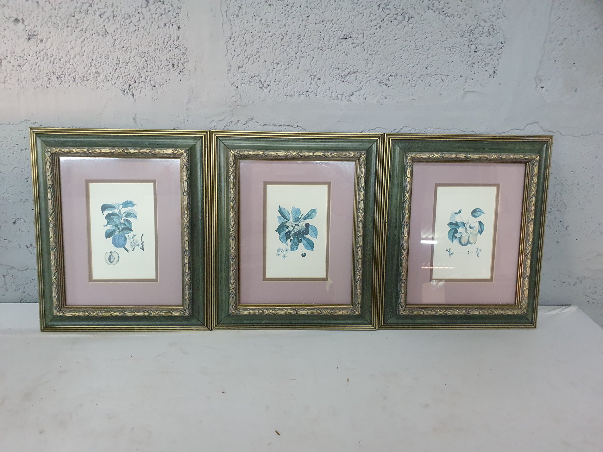 Set of three framed botanical prints — green gilt moulded frames with pink double mats, glazed