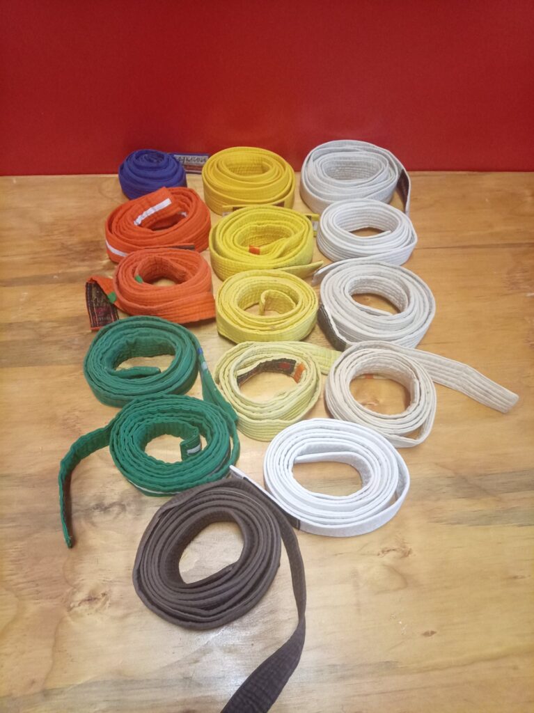 Lot of 15 Martial Arts / Karate Belts — Assorted Colours, Used (Some Fraying)