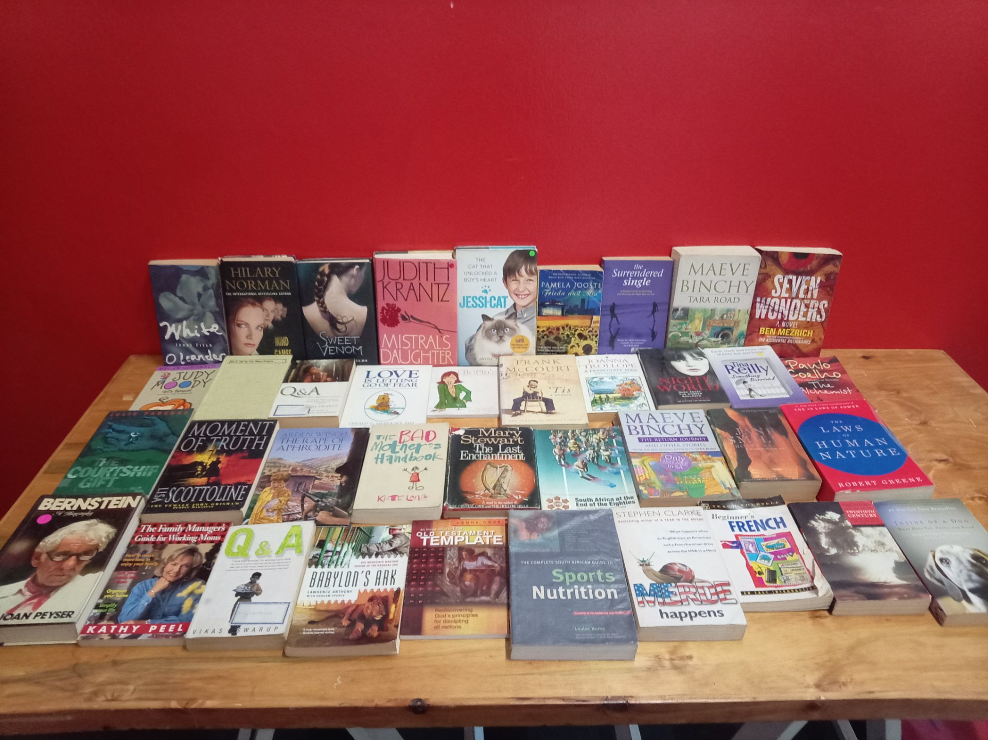 Huge Joblot of Paperback Books and Novels — mixed titles (est. 20–30)