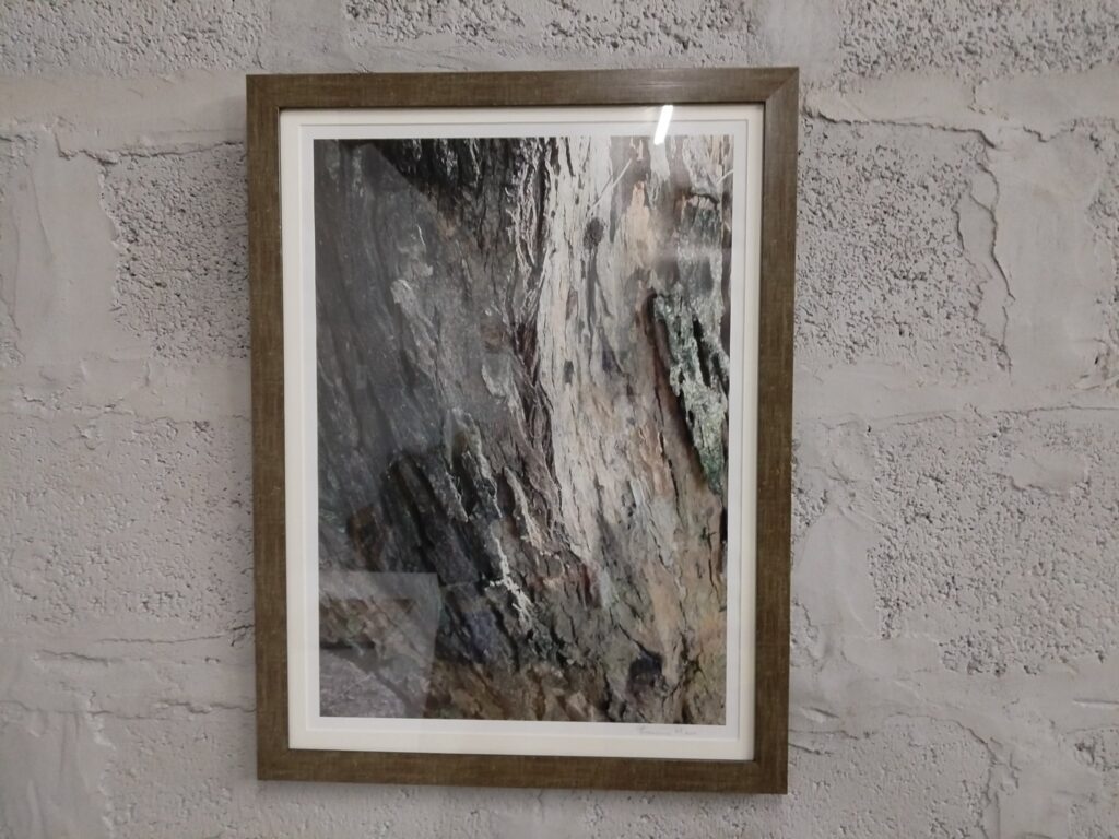 Framed signed photographic print (signed ‘Freucine Mann’ lower margin) — glazed, double-mount, 65 x 50 cm