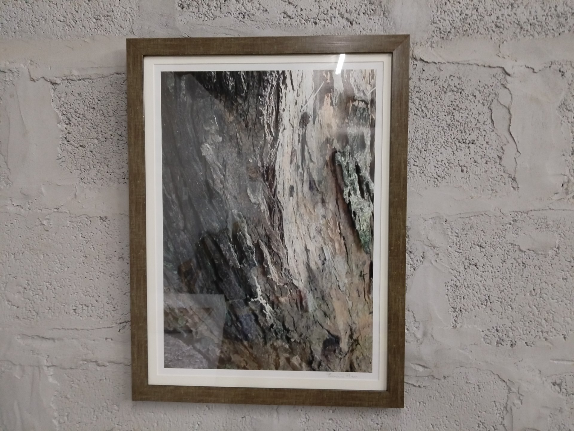 Framed signed photographic print (signed ‘Freucine Mann’ lower margin) — glazed, double-mount, 65 x 50 cm