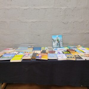 Lot of 34 Used Books & Magazines – Travel, Biography, Sport, Fiction (Istanbul, Death & Taxes, Wimpy Kid, Atrocities etc.)