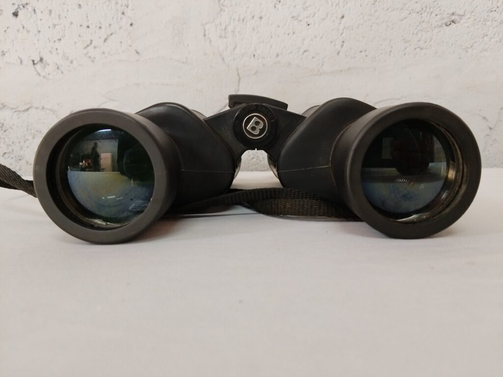 Bushnell Binoculars — Tested Optics & Focus, Strap Included, Used