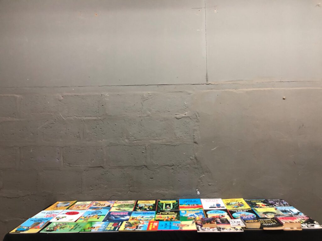 Mixed lot 39 comics & paperbacks — Tintin, Asterix, The Walking Dead (used, very good)