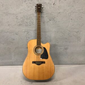 Ibanez AW70ECE-LG acoustic-electric guitar with Fishman AEQ-SP2 preamp (AW70ECE-LG)