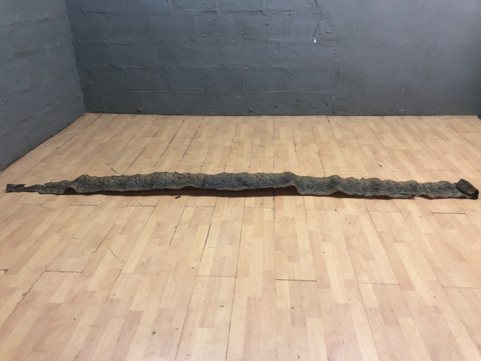 South African Rock Python hide — single long strip, 374 cm, heavily worn