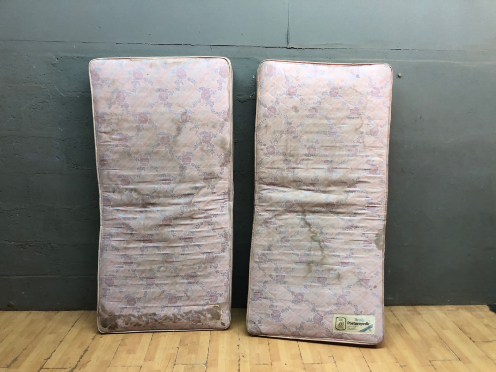 Pair of Sealy Posturepedic single mattresses – labelled, 188 x 92 x 18 cm (each)