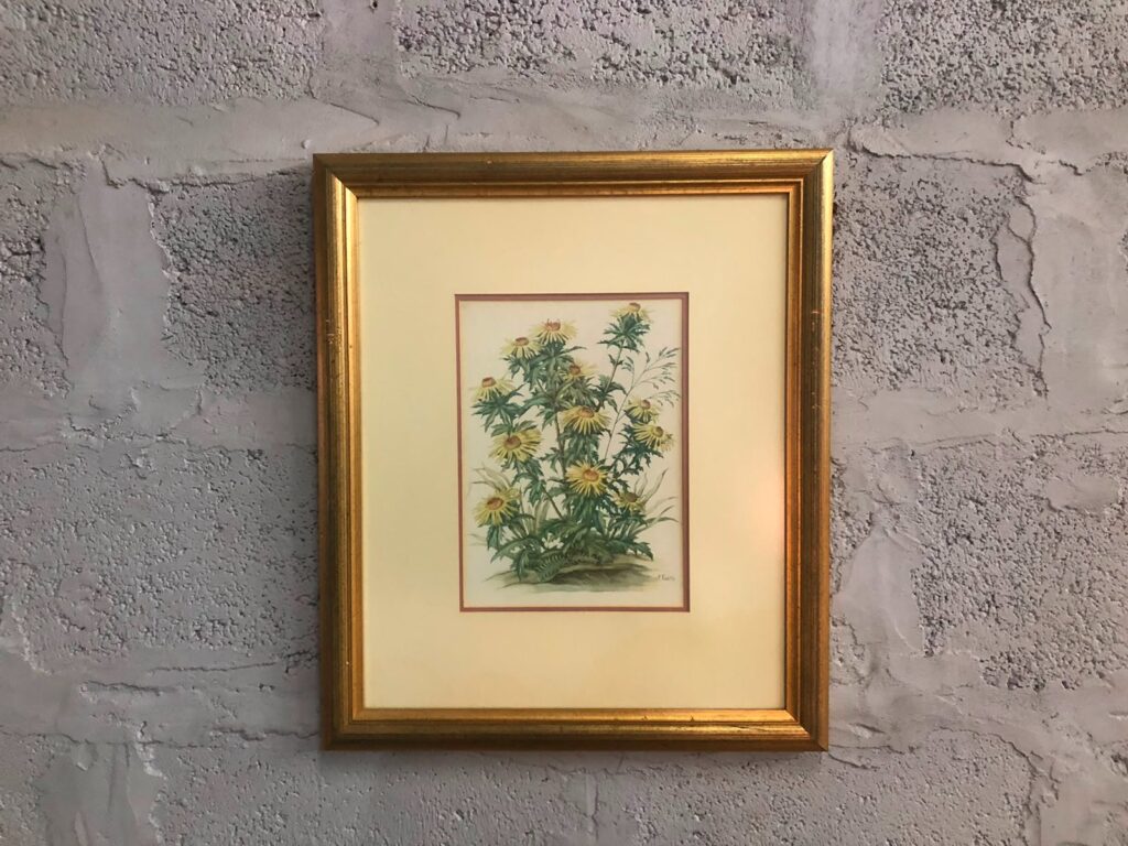 Framed signed botanical print by ‘P. Fielitz’ — gilt frame, signed limited edition, 48 x 56cm