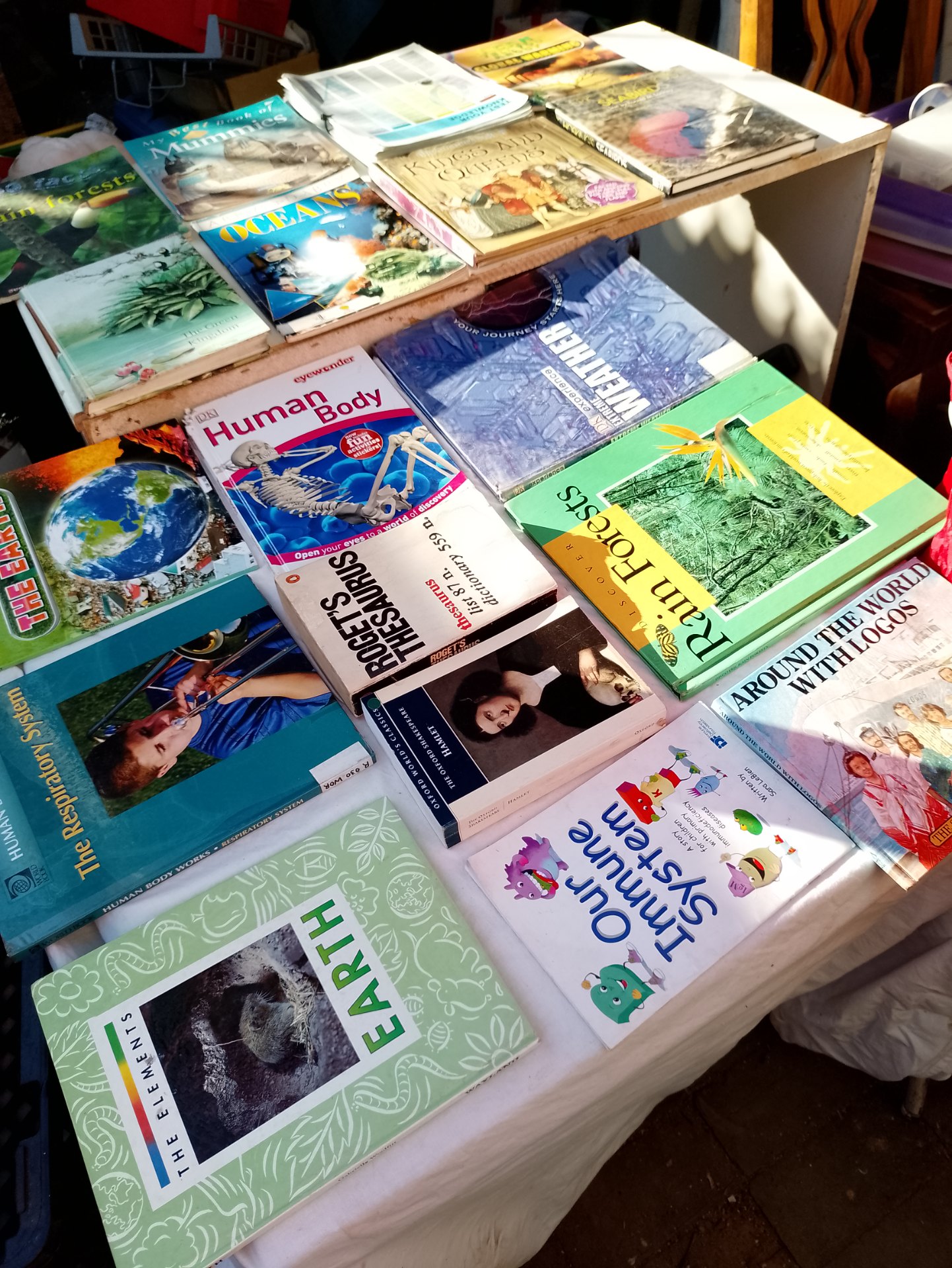Lot of 18 Mixed Second‑hand Books – Children’s & Reference Titles (visible wear)