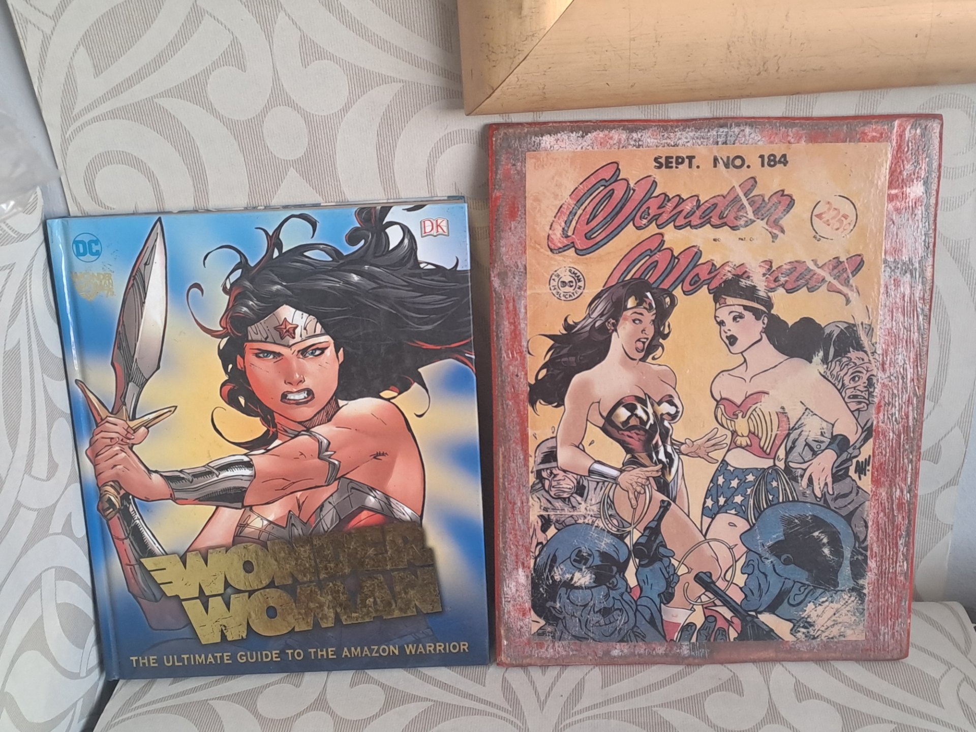 Lot: Wonder Woman DK / DC hardcover ‘The Ultimate Guide to the Amazon Warrior’ + red-framed Wonder Woman print (distressed)
