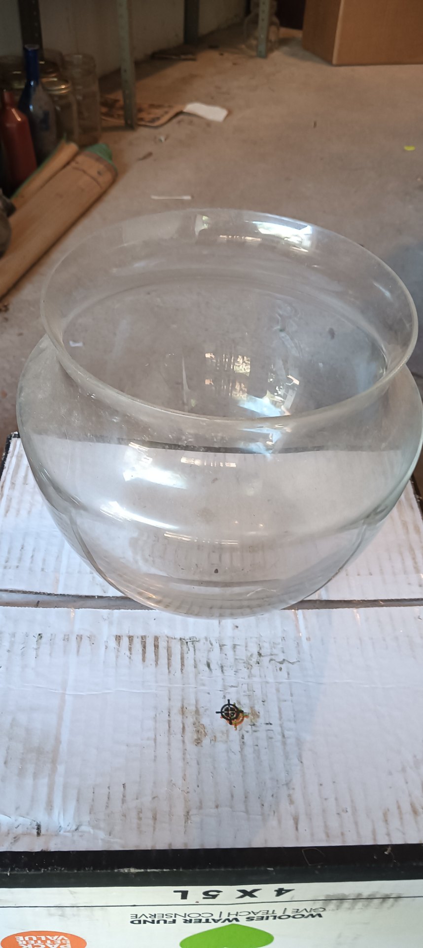 Clear round glass fishbowl / decorative bowl — 23 x 23 x 20 cm, used