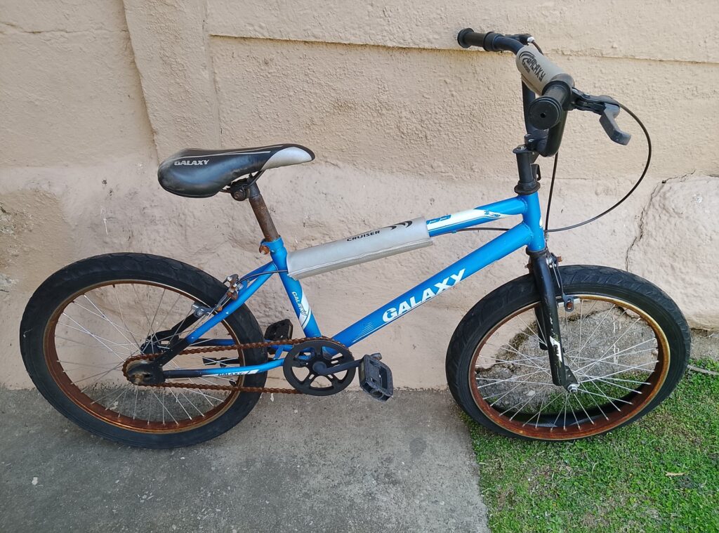Galaxy Cruiser bicycle — project bike with both wheels, saddle; heavy surface rust, tyres need replacement, brakes untested