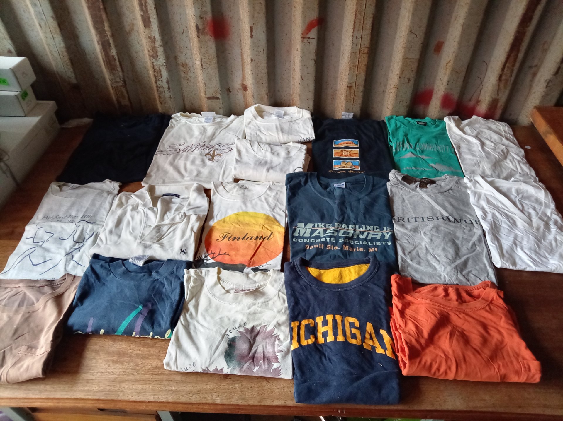 Lot of Men’s Branded T-Shirts (L & XL) — Mixed printed tees & polos, good used condition