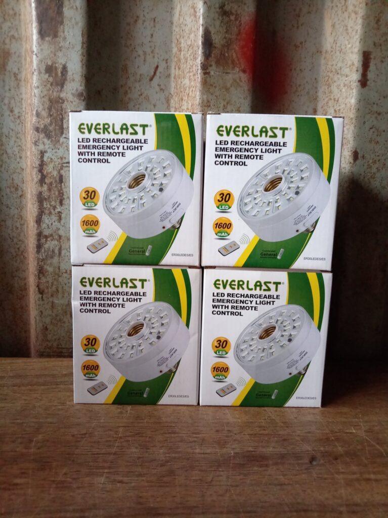 Lot of 4 Everlast LED Rechargeable Emergency Lights (30 LED / 1600mAh) – Brand New, Sealed, with Remote