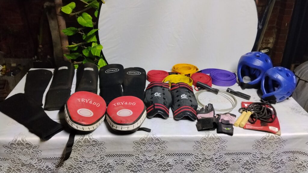 Assorted Martial‑arts Training Gear Lot — 19pcs (helmets, TRY&DO pads, guards, belts, ropes, gloves)