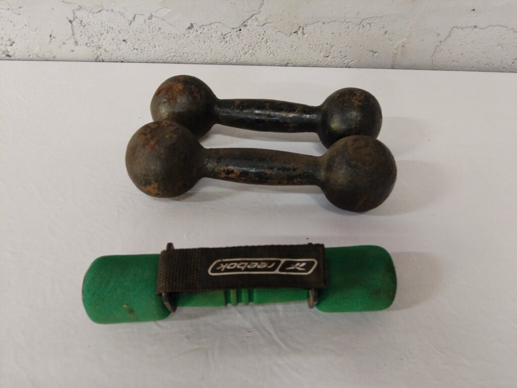 Pair of cast-iron dumbbells — 2 kg each (surface rust, untested)
