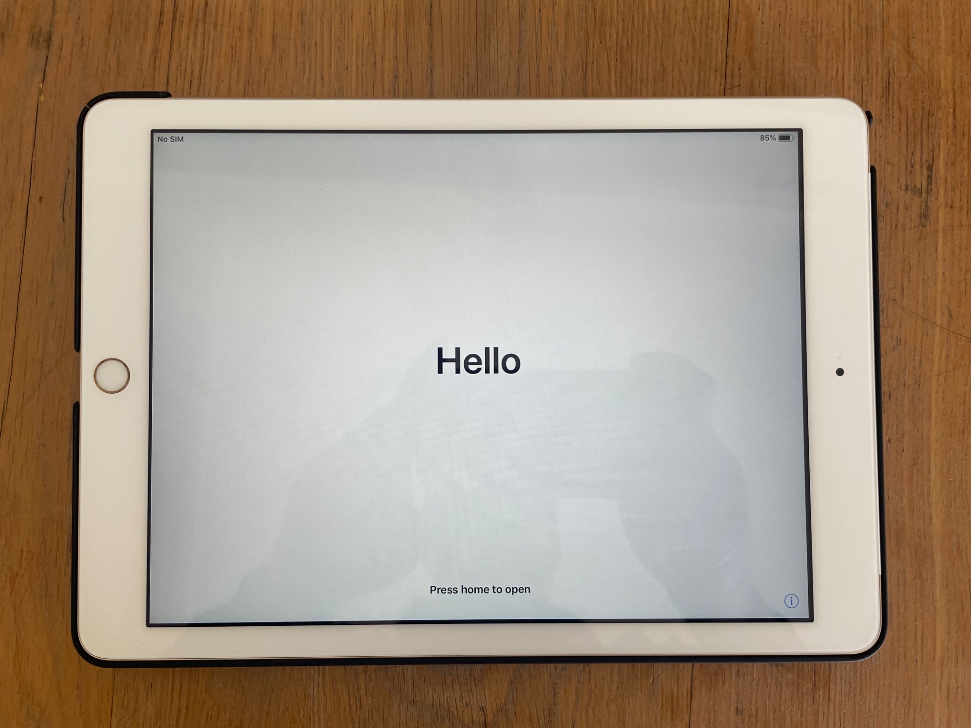 Apple iPad (model A1823) 32GB Wi‑Fi + Cellular — Powers on, case included, light rear marks