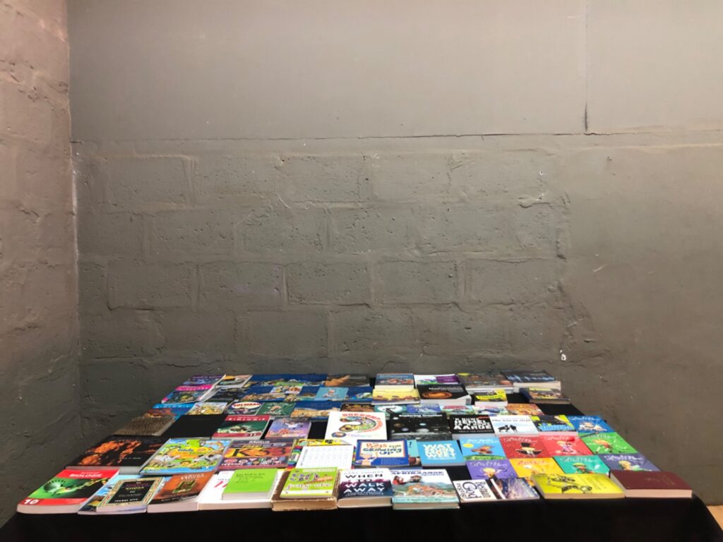 Mixed bulk lot of second‑hand textbooks, children’s and Afrikaans books — assorted titles (bulk)